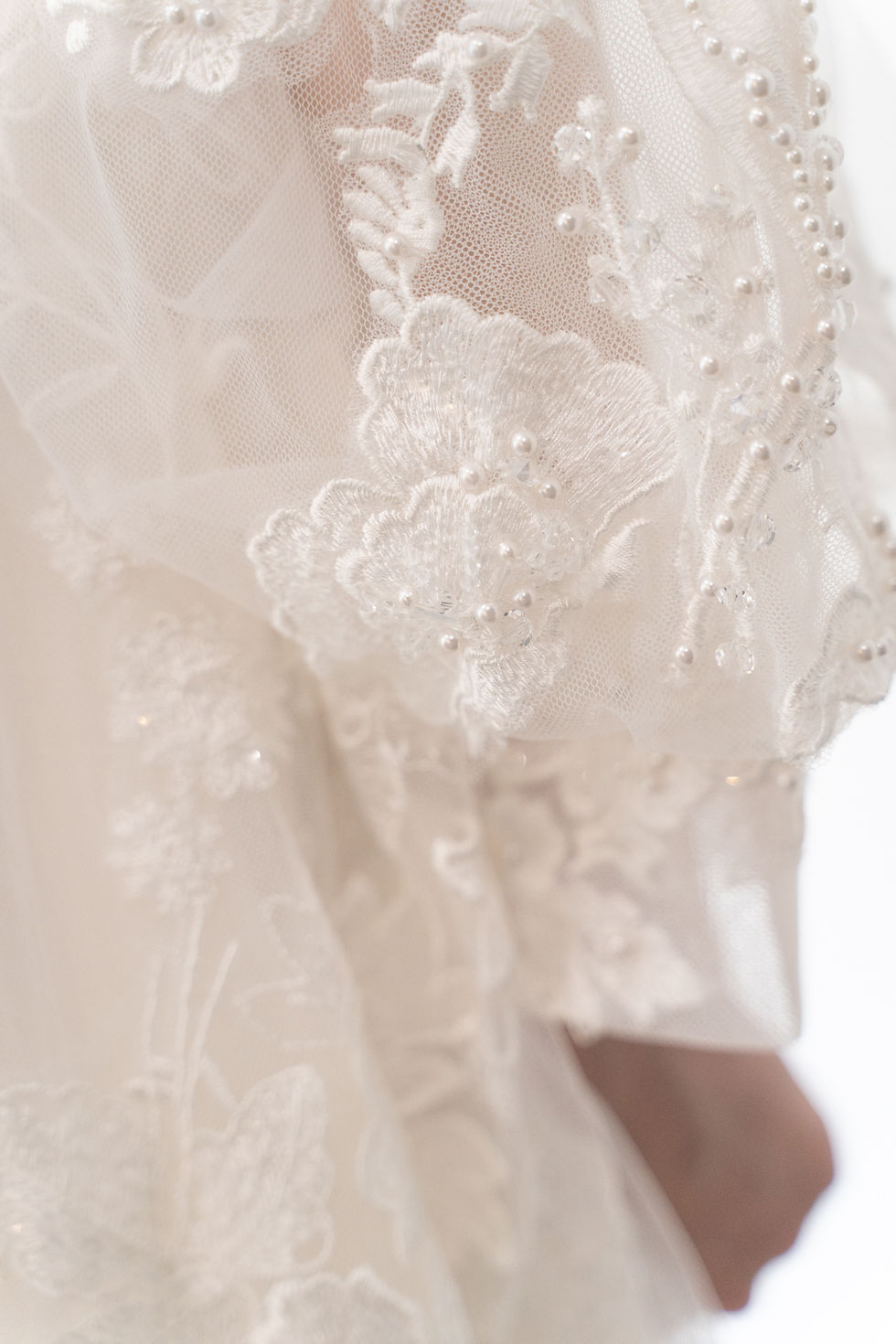 サムネイル： Apricot 