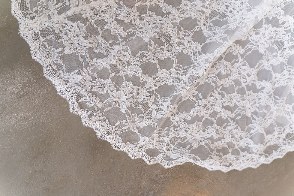 サムネイル： Aster