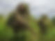 The killing of a rebel-appointed chief in Walikale renewed concerns over AFC/M23’s parallel administration in eastern DRC.