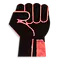 Stand for justice
