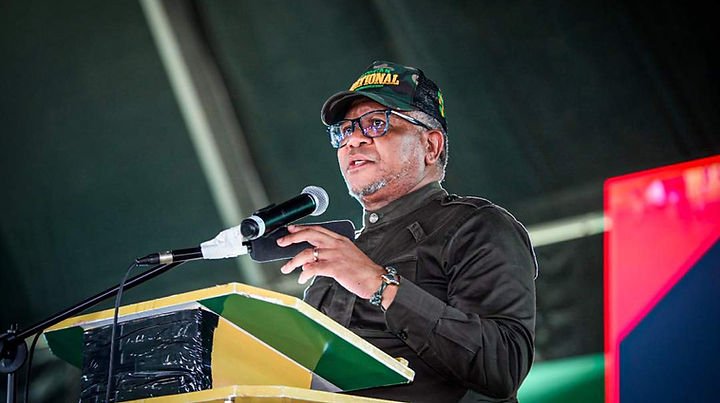 Fikile Mbalula warns against South Africa being isolated from Africa, calls for unity, trade, and ANC renewal.