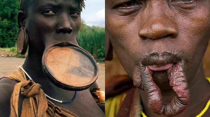Explore the African tribes of Ethiopia’s Omo Valley rich cultures, ancient traditions, and timeless lifestyles await discovery.