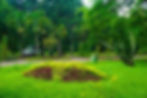Lush greenery and landscaped paths inside the Botanical and Zoological Gardens of Kinshasa, a major eco-tourism attraction in the DRC