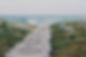Rustic%20Beach%20Path_edited.jpg