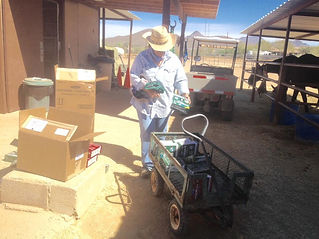 Rhonda Dimmick from Farram donating fly masks