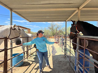 Joleen, Comet & Grayhawk on left Ry and Teddy