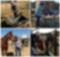 Volunteerrs At The Ranch