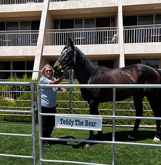 Teddy at Derby Days with Tina