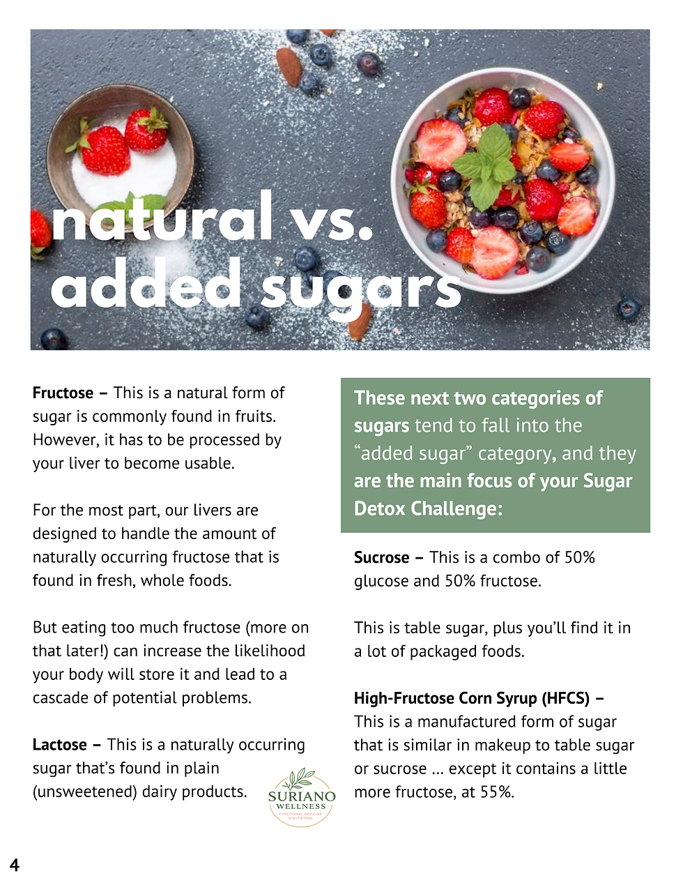 Thumbnail: The Sugar Detox Success Manual