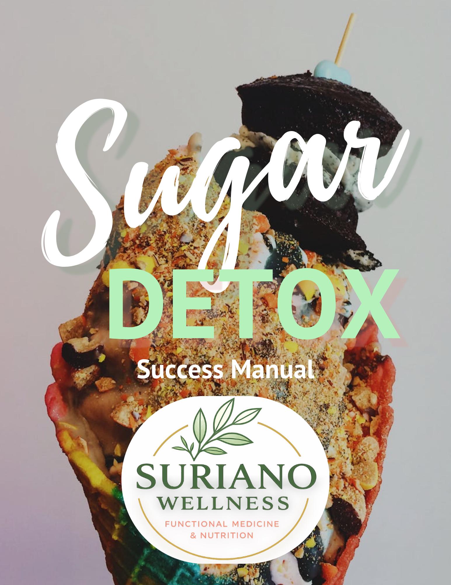 The Sugar Detox Success Manual