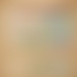 (₦) NGN to (د.إ) AED: Understanding the Naira to Dubai Currency Exchange