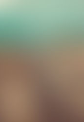 Jalingo, Taraba State, Nigeria: A Deep Dive into the Heart of Taraba