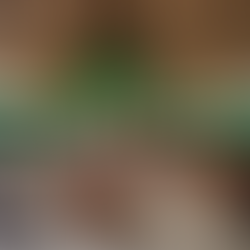 Do People Even Worship in Taraba State? 15 Churches Heavy on Praises to Consider Attending in Taraba