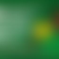 Want to use Bybit in Nigeria without getting burned? This brutally honest guide reveals the pros, cons, and setup strategies for Nigerian crypto traders.