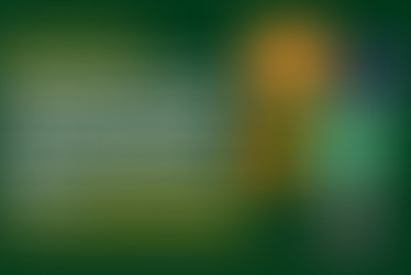 Temu NG Now Ships to Nigeria — A Step by Step Guide on How to Order, Pay, Track & Ship Items Safely (Even If You're a First-Time Shopper!)