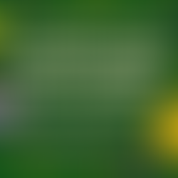 7 Legitimate Crypto Recovery Companies You Can Trust With Your Lost Coins