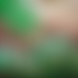 A Detailed Guide to Nigeria's National Anthem: History, Evolution, and Lyrics