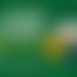 I beat Forbes and Moz on Google using a zero-backlink SEO strategy. In this article, I reveal exactly how I did it — and how you can too