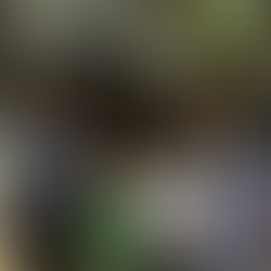 70+ Tribes in Taraba State, Nigeria: Exploring the Cultural Diversity of Nigeria’s North