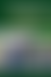 Jukun "Adire" Attire: Inside the Bold, Colourful Fashion of Taraba's Proud Tribe