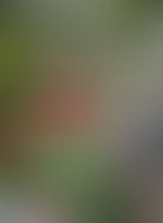 Nigerian Women In Construction: Love Samuel’s Journey in Nigeria's Building Industry