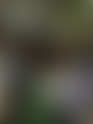 Meet the Incredible IbiFoundry Team: The Heartbeat Behind Our Vision