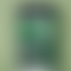 Looking for the best hosting provider? This IbiFoundry guide compares Bluehost vs HostGator, covering speed, uptime, pricing, and features to help you decide!