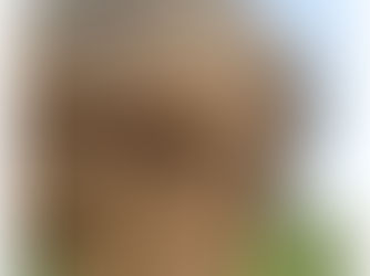 Nigeria: An Entire Guide on Africa's True Giant