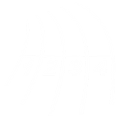 White Track Lanes Logo.png