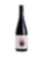 Sophie Schaal Organic Pinot Noir