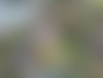 Commercial Project: Powdermills Hotel, Battle, East Sussex