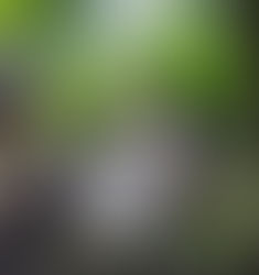 福岡・天神・博多フォトスタジオ /ブライダルフォト