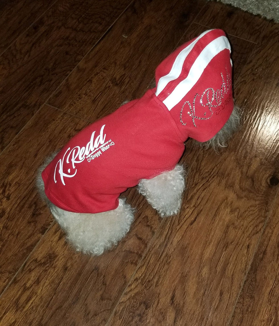 Thumbnail: Blinged Out Game Day Hoodie