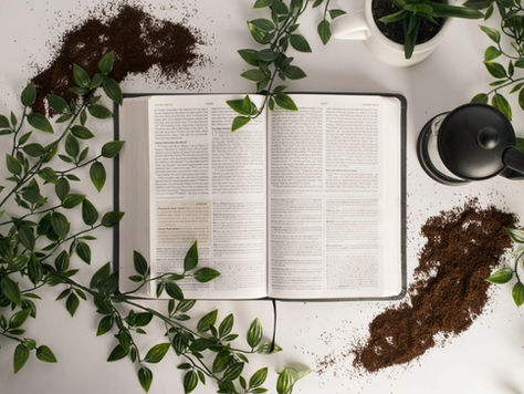 Why Biblical Counseling?