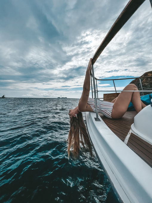 Photo 11 MrPelicano Gallery