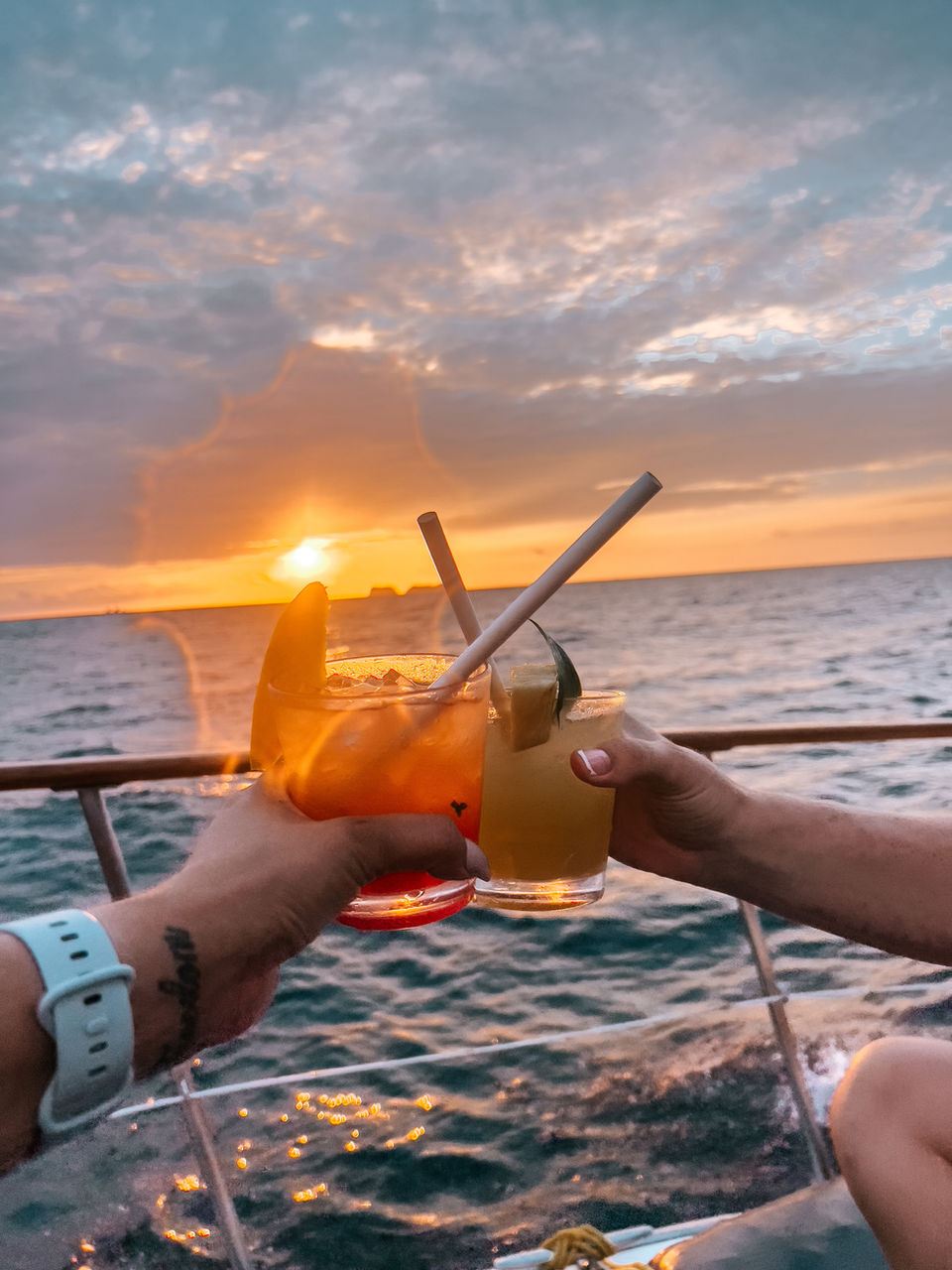 Photo 25 MrPelicano Gallery