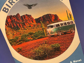 Cover of Grateful Dead novel Birdenwheel by Lindsay Rice