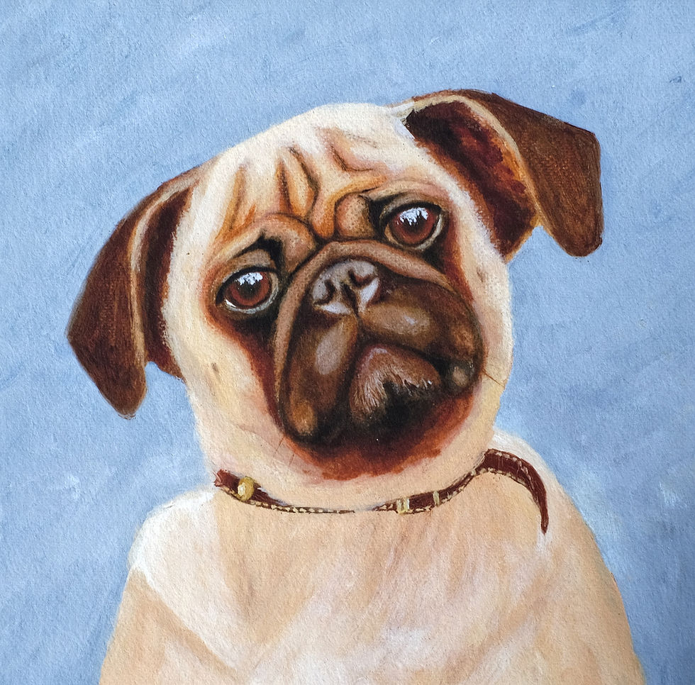 Thumbnail: Pet Portrait