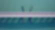 bridge_02.jpg