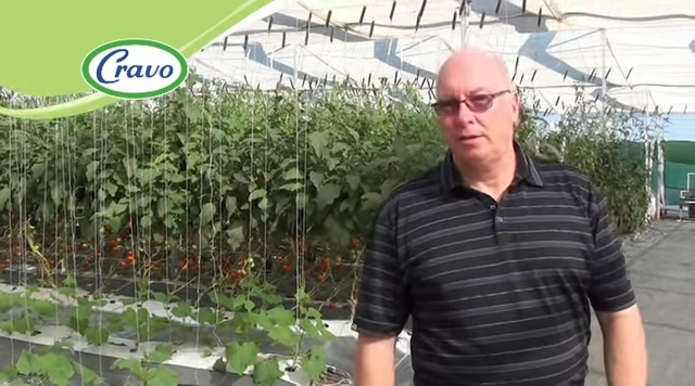 Actualización de los ensayos 2016-2017 en el Centro de Demostración y Entrenamiento de Cravo, 5 de enero de 2017