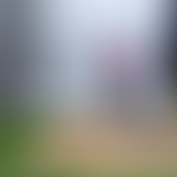 Cricket Training Facilities New Zealand's Bay Oval