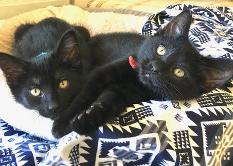 Bobby & Betsy