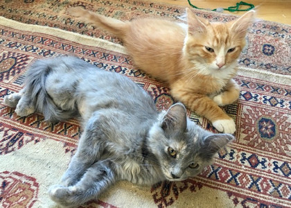 Tom & Tabitha