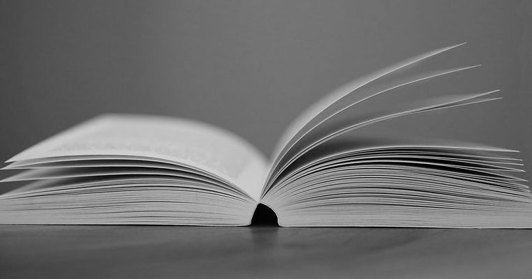 book.jpeg