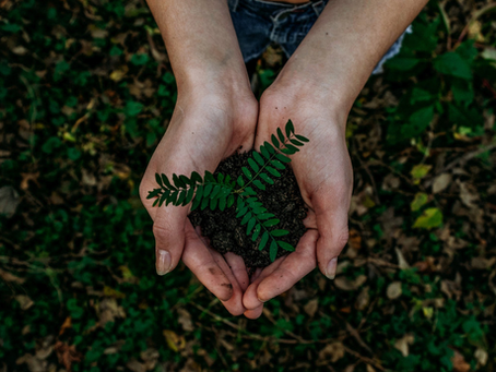 Planting Seeds in the Subconscious