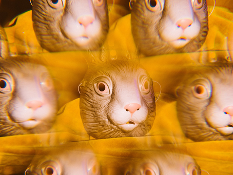 Altered States of Consciousness
