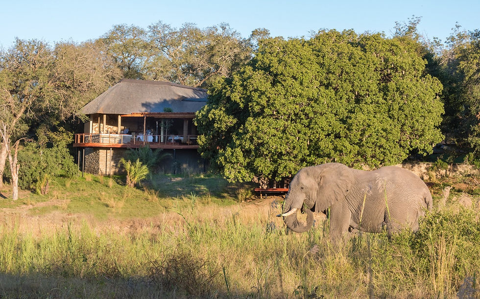 Dulini River lodge offers expansive views over the regal Sand River to the savannah beyond where elephant come to drink.