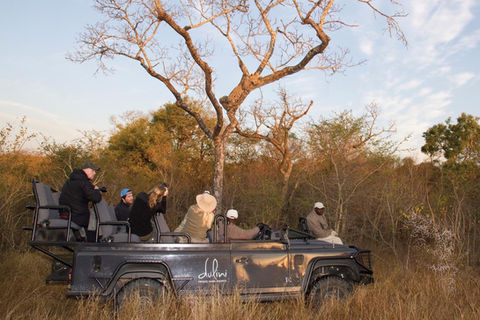 Leopard-In-A-Tree-Dulini-Private-Game-Reserve