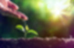 Growth Assistance - MW Project Ltd