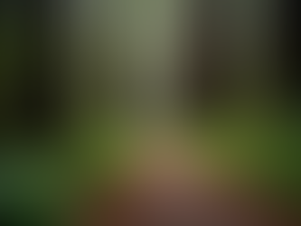 Retirement Strategies for Humboldt County Residents: Exploring Indexed Universal Life Options